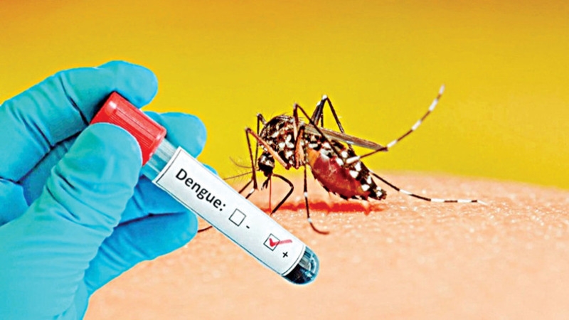dengue-crisis-1-ebd838d9b0ef6f3e97724f86c6950b1d1786282295.jpg